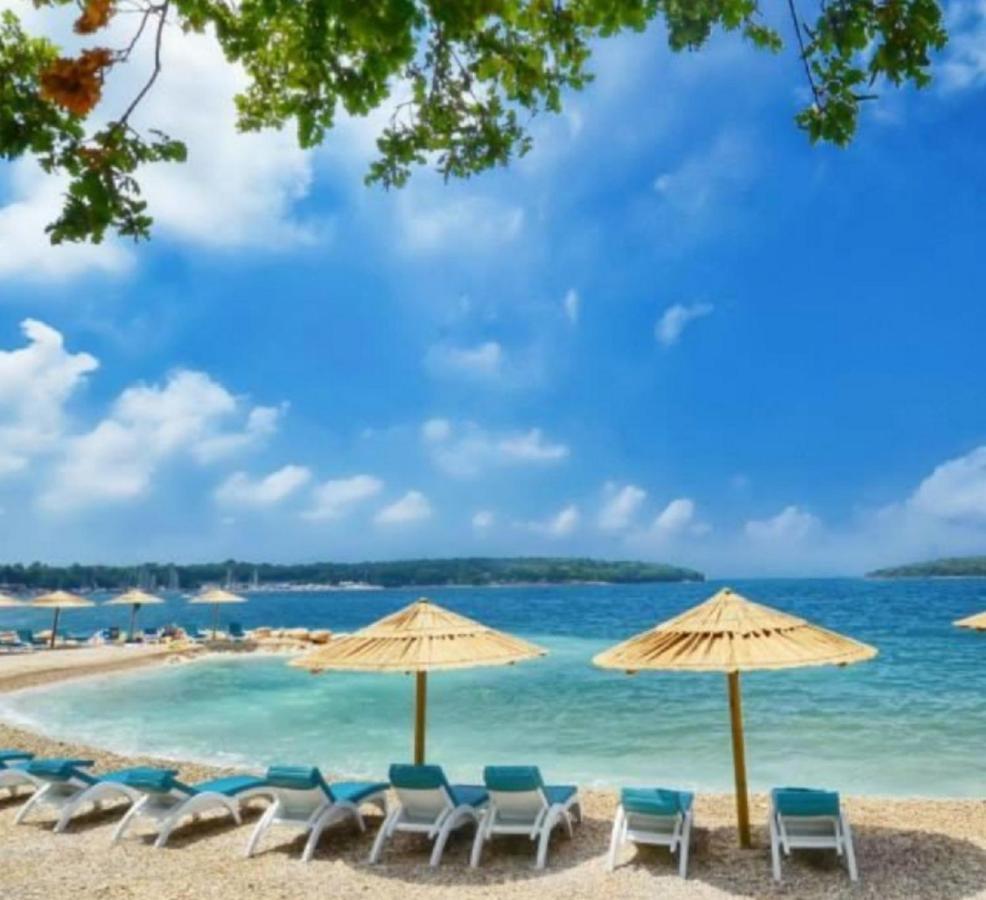 New!!! 2024 Marea Apartments With Xxl Sunny Terrace Poreč Zewnętrze zdjęcie