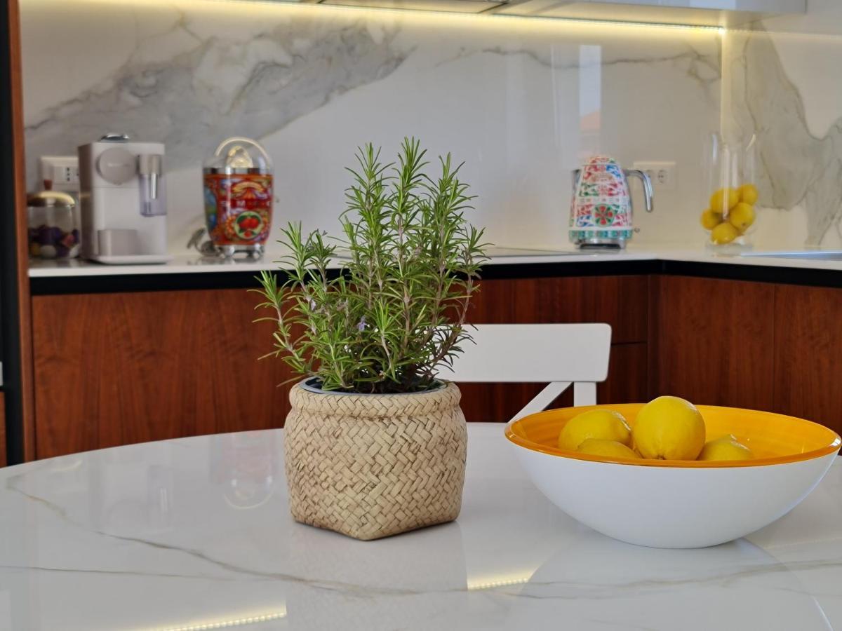 New!!! 2024 Marea Apartments With Xxl Sunny Terrace Poreč Zewnętrze zdjęcie